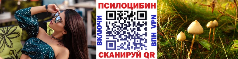 Псилоцибиновые грибы Psilocybe  Купить  Шлиссельбург 